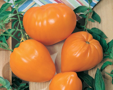 Orange Strawberry Tomato Seeds